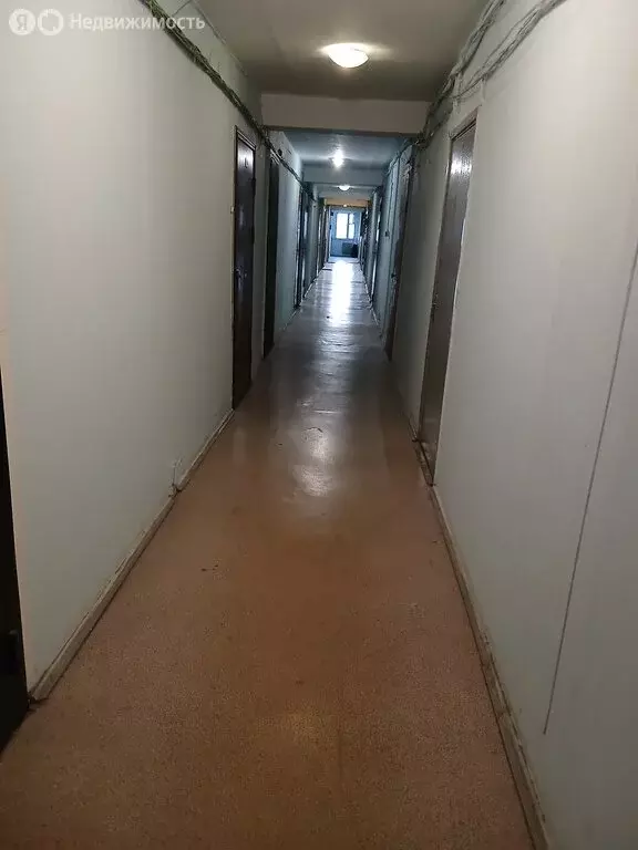 Квартира-студия: Санкт-Петербург, Загребский бульвар, 21 (24 м) - Фото 1