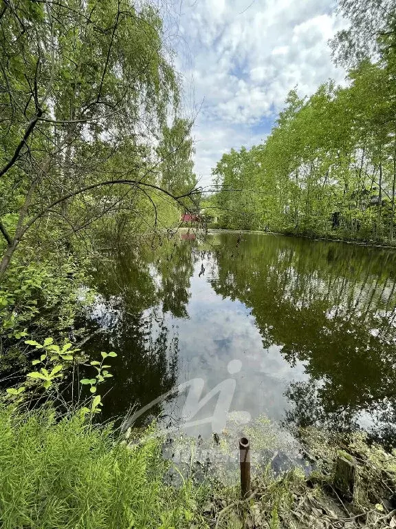Продается участок в с. Быково - Фото 1
