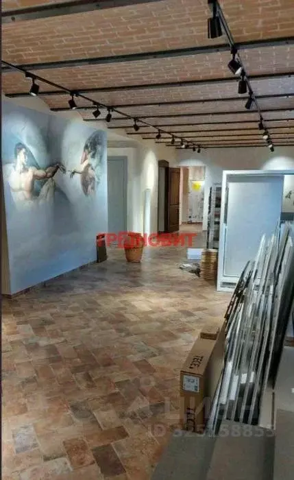 Помещение свободного назначения в Новосибирская область, Новосибирск ... - Фото 2