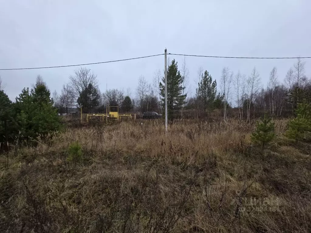 Участок в Нижегородская область, Дальнеконстантиновский муниципальный ... - Фото 2