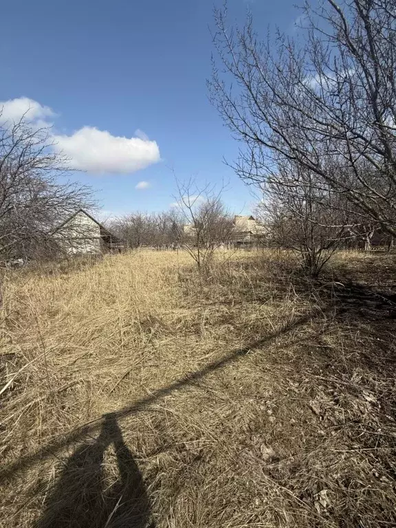 Участок в Тамбовская область, Тамбов городской округ, с. Бокино, Новый ... - Фото 2
