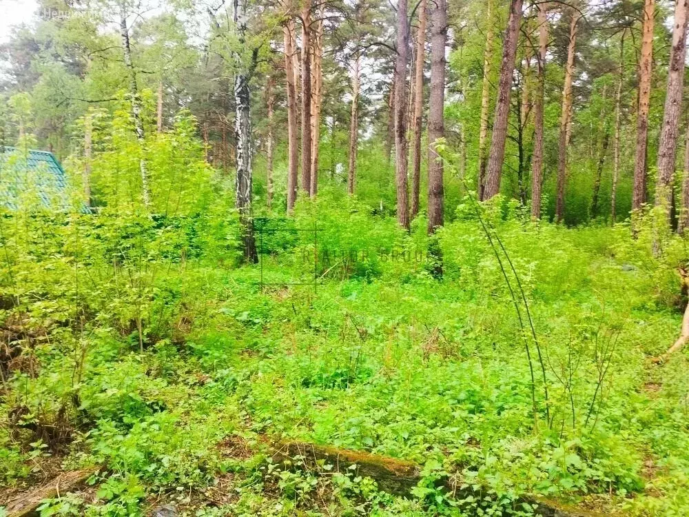Участок в Мочищенский сельсовет (15 м) - Фото 2