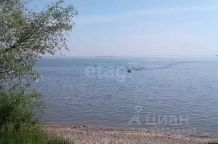 Участок в Новосибирская область, Новосибирский район, с. Боровое  ... - Фото 1