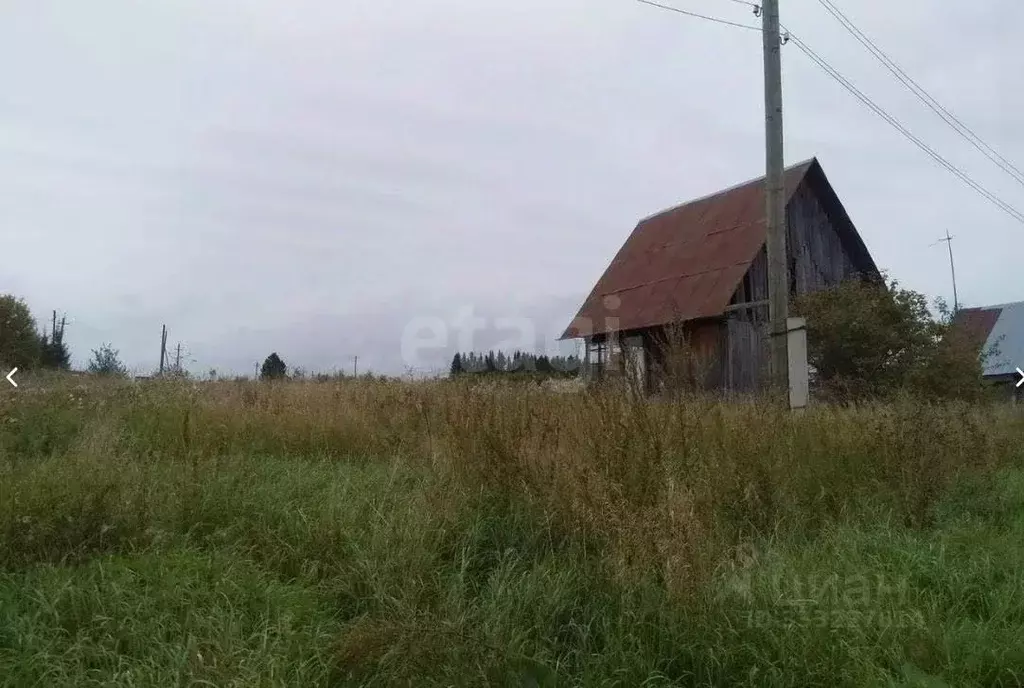 Участок в Пермский край, Пермский муниципальный округ, Власы тер.  ... - Фото 2