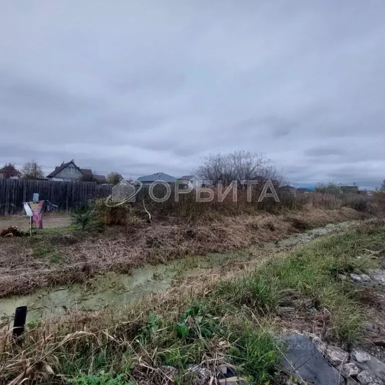 Участок в Тюменская область, Тюмень Березняки-2 садовое товарищество, ... - Фото 2
