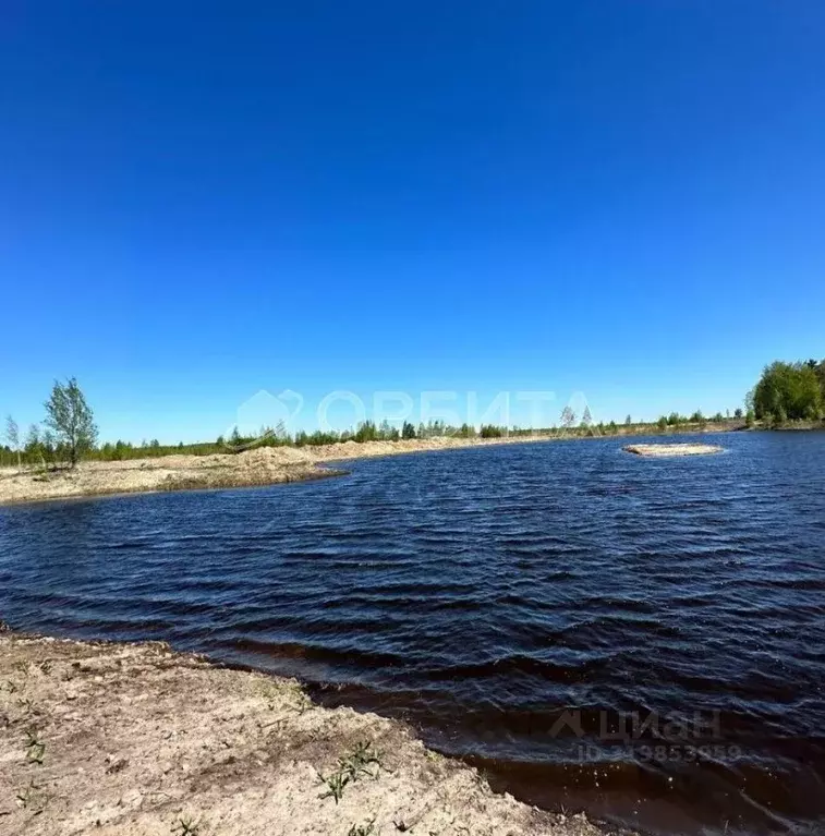 Участок в Тюменская область, Тюменский район, Новотарманское ... - Фото 0