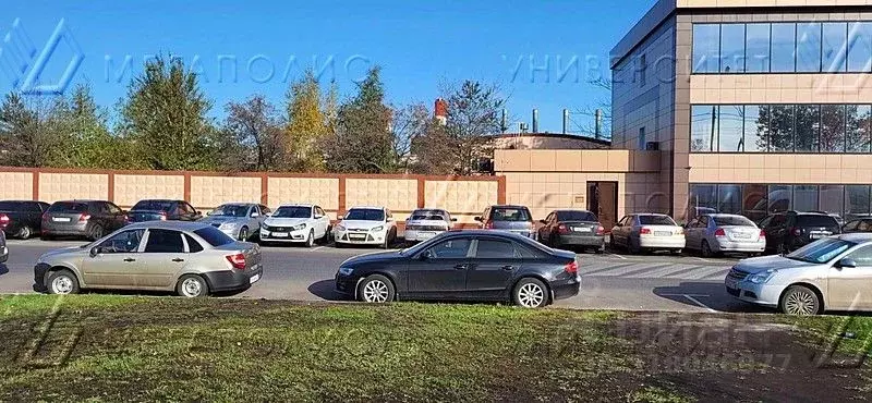 Офис в Москва Рябиновая ул., 55С1 (116 м) - Фото 0