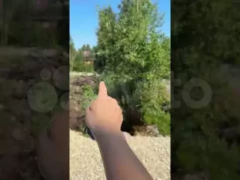 Участок 6,1 сот. (СНТ, ДНП) - Фото 1
