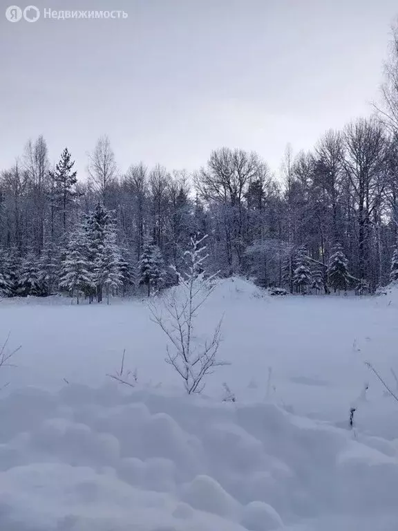 Участок в Лопухинское сельское поселение, коттеджный посёлок Солнечное ... - Фото 0