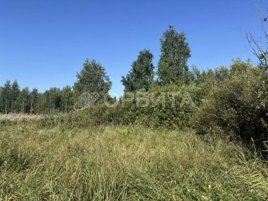 Участок в Тюменская область, Тюмень Березняковский мкр, ул. ... - Фото 1