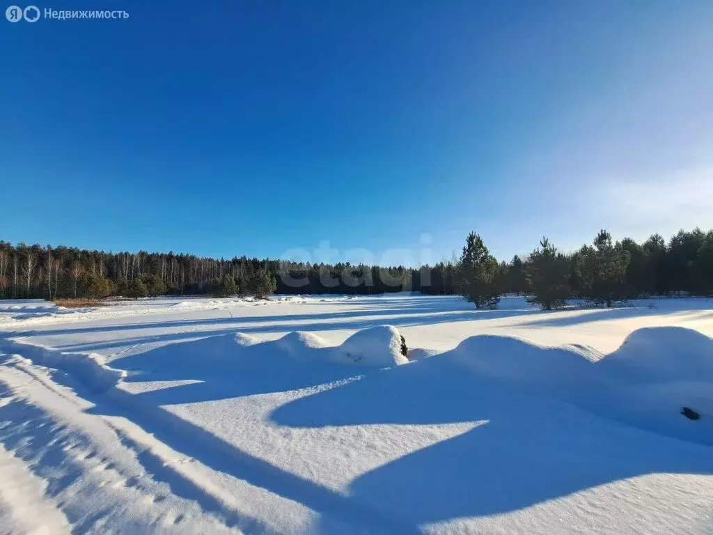 Участок в Нижнетавдинский район, садоводческое некоммерческое ... - Фото 1