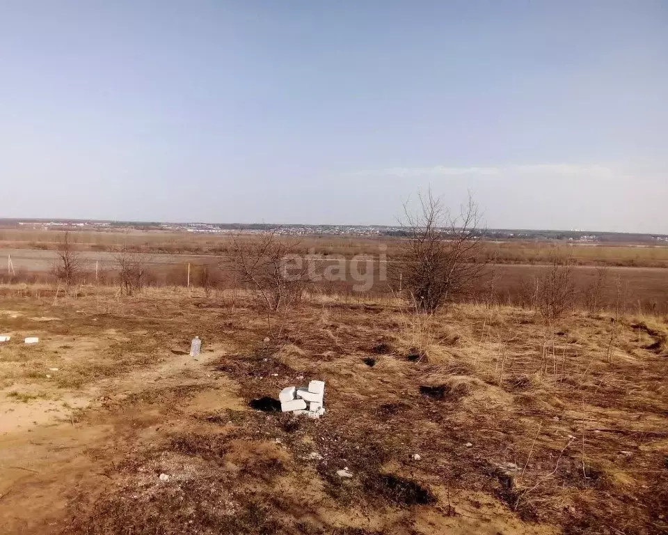 Участок в Воронежская область, Рамонский район, с. Русская Гвоздевка  ... - Фото 0