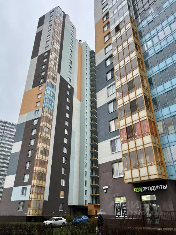 Студия Санкт-Петербург ул. Плесецкая, 16 (24.5 м) - Фото 1