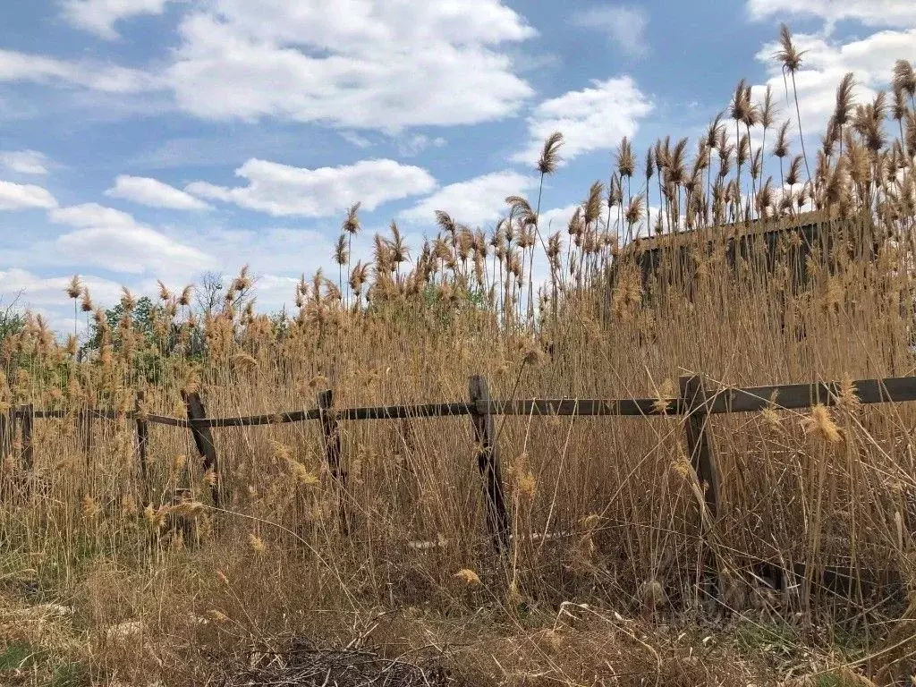 Участок в Астраханская область, Приволжский район, Рисовод садовое ... - Фото 2