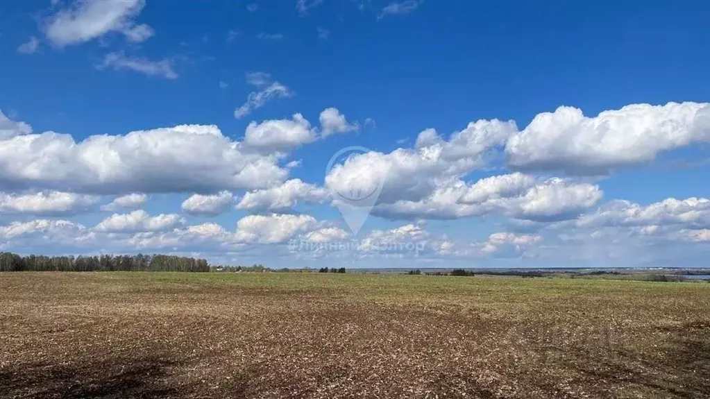 Участок в Рязанская область, Рязанский район, Вышгородское с/пос, с. ... - Фото 0