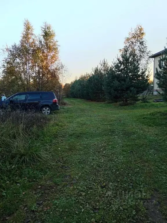 Участок в Новгородская область, Новгородский район, Ракомское с/пос, ... - Фото 1