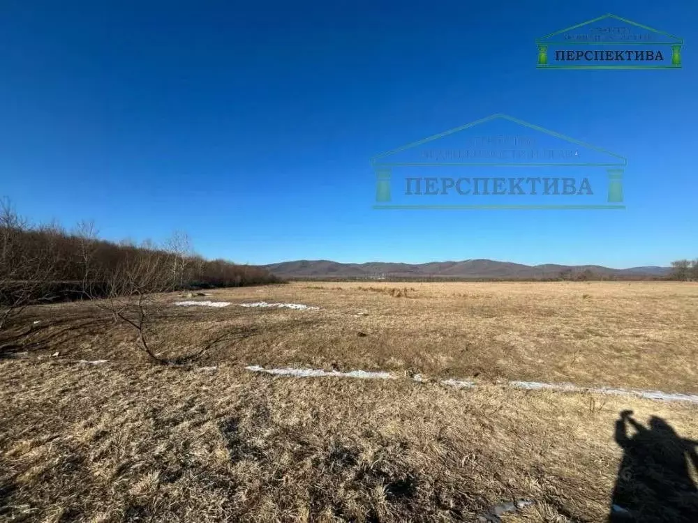 Участок в Приморский край, Артемовский городской округ, с. Ясное ул. ... - Фото 0