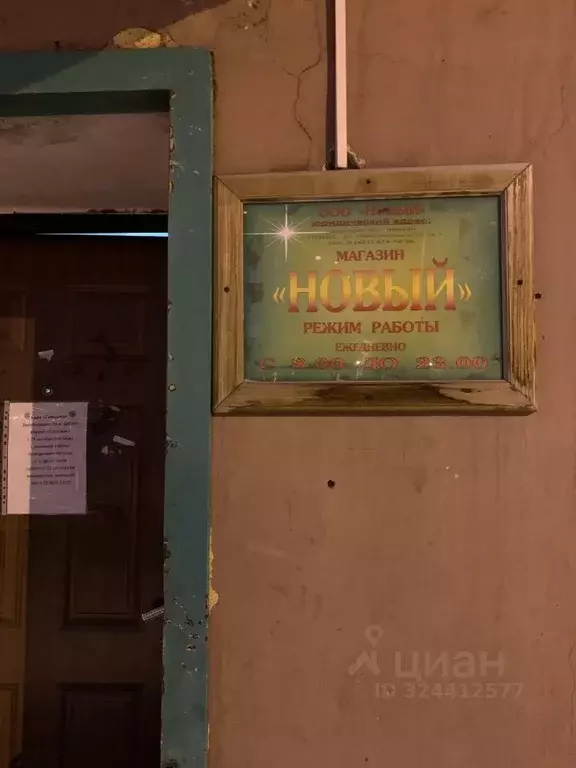 Торговая площадь в Чукотский АО, Певек Чаунский район, ул. Пугачева, ... - Фото 1