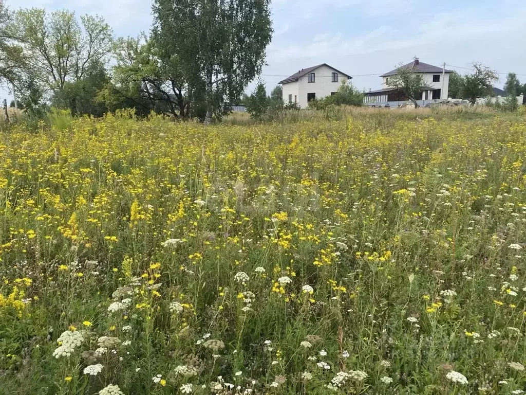 Участок в Брянская область, Брянский район, с. Глинищево ул. Северная ... - Фото 1