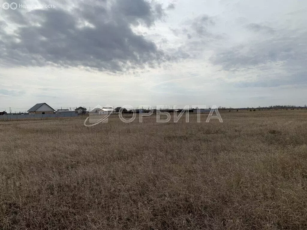 Участок в Тюменский район, село Чикча (8.12 м) - Фото 1