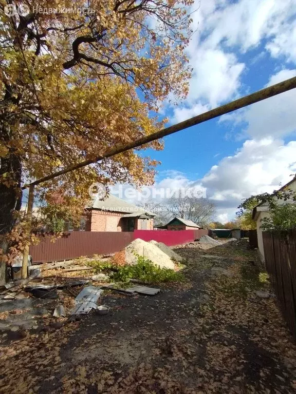 Участок в Алексеевское сельское поселение, хутор Ильичёвка, улица ... - Фото 2