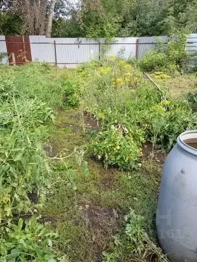 Помещение свободного назначения в Челябинская область, Челябинск ул. ... - Фото 2