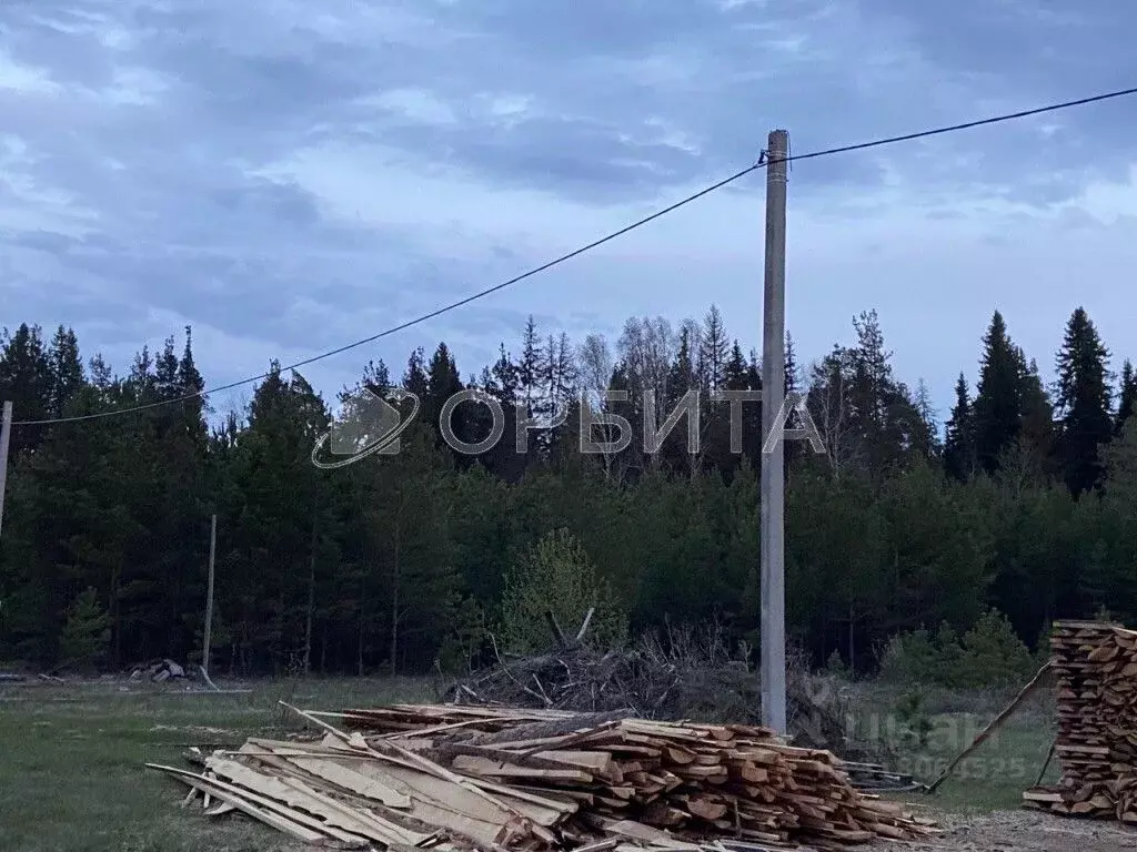 Участок в Свердловская область, Тугулым пгт ул. Новостроящаяся (9.99 ... - Фото 1