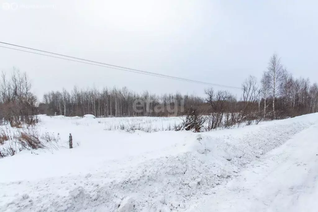 Участок в Башковское сельское поселение, садоводческое товарищество ... - Фото 1