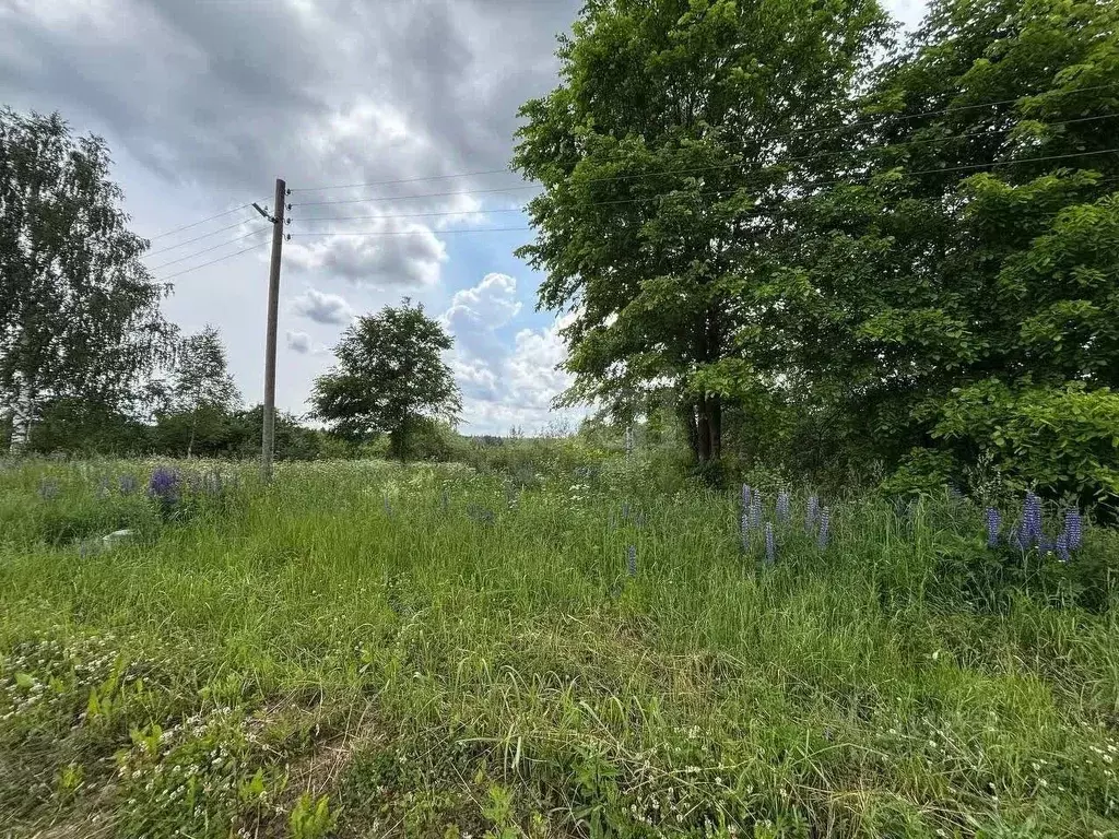 Участок в Владимирская область, Ковровский муниципальный округ, д. ... - Фото 1