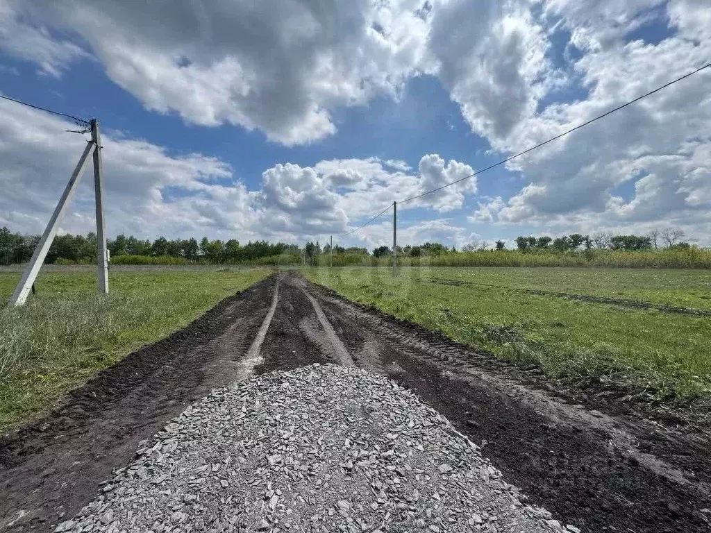 Участок в Белгородская область, Белгородский район, Хохловское с/пос, ... - Фото 1