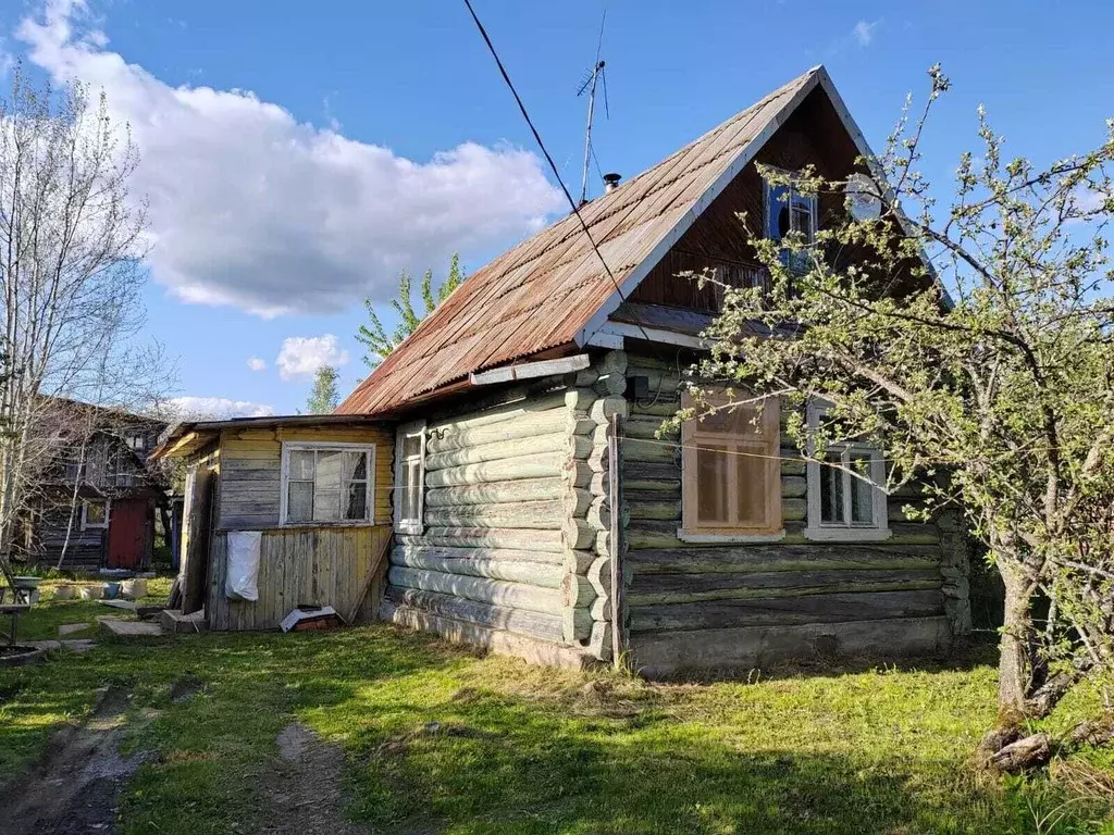 Дом в Ленинградская область, Гатчинский район, Чаща садоводческий ... - Фото 0