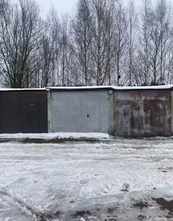 Гараж в Ленинградская область, Всеволожск ш. Дорога Жизни, 15 (20 м) - Фото 2