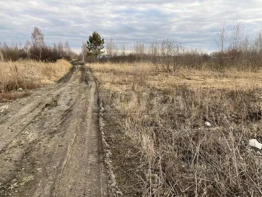 Участок в Тюменская область, Тюмень Поле Чудес садовое товарищество, ... - Фото 1