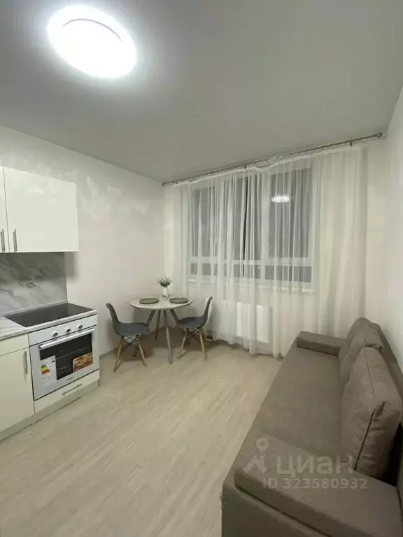 1-к кв. Нижегородская область, Нижний Новгород д. Анкудиновка, ул. ... - Фото 1