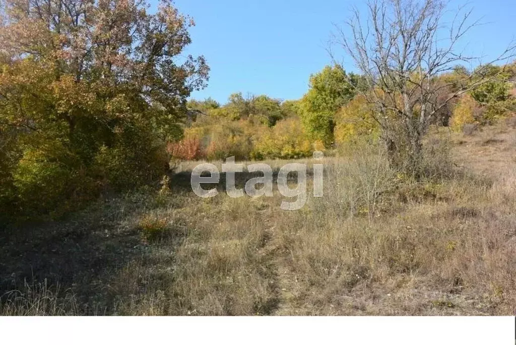 Участок в Свердловская область, Нижний Тагил муниципальный округ, с. ... - Фото 1
