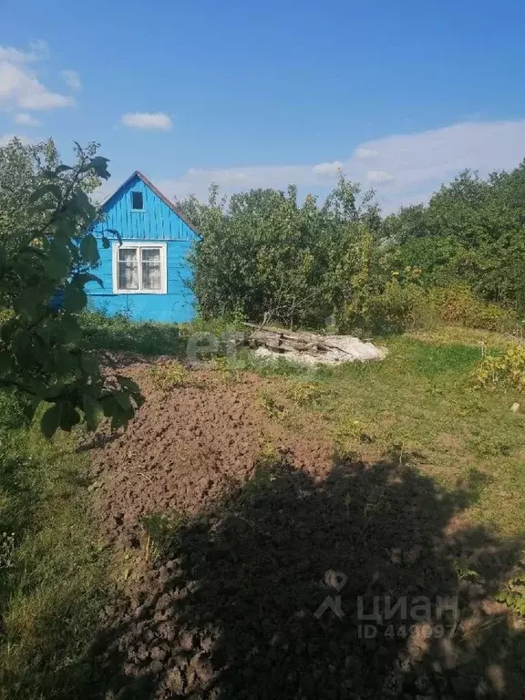 Дом в Смоленская область, Смоленск Текстильщик-3 садоводческое ... - Фото 1
