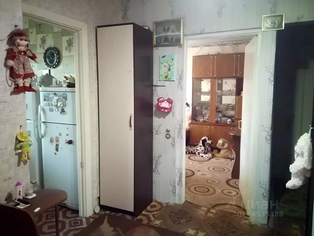 квартиры в псковской области струги красные беспосредников. 1 комнатная квартира струги красные. 2 этажки в центре пос струги красные псковской обл. фурманов социалистическая 25. авито фурманов.