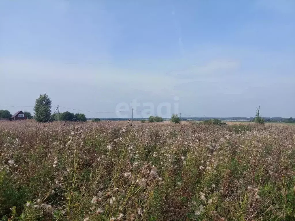 Участок в Вологодская область, пос. Ермаково  (16.22 сот.) - Фото 0