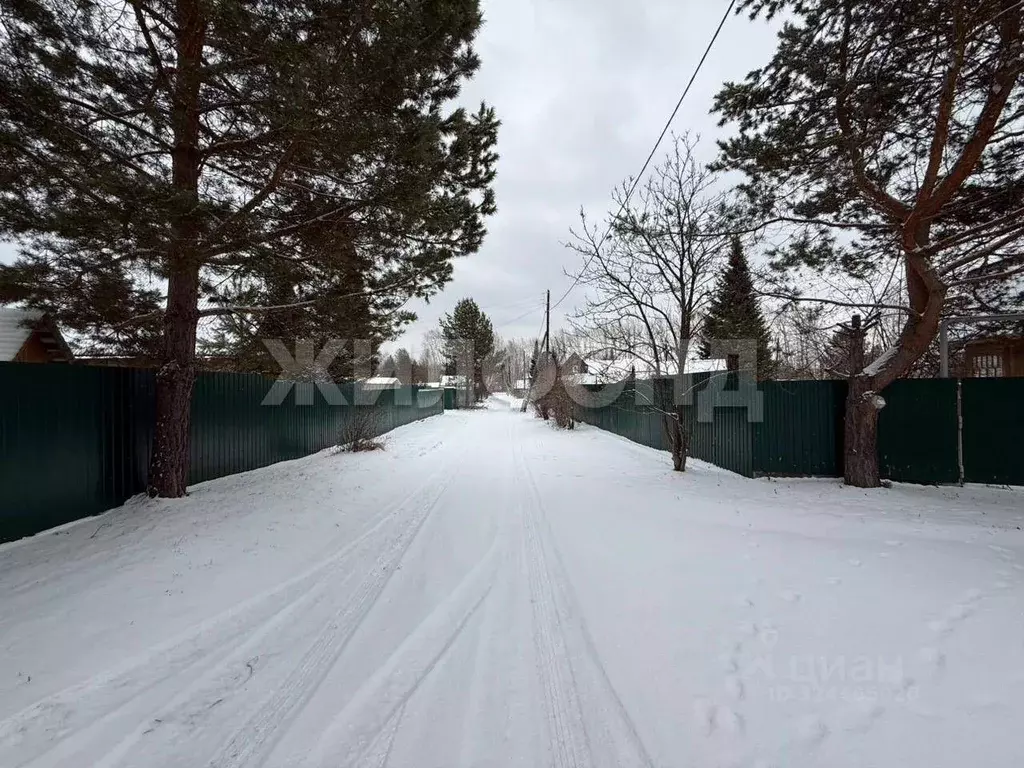 Участок в Новосибирская область, Новосибирский район, Новолуговской ... - Фото 1