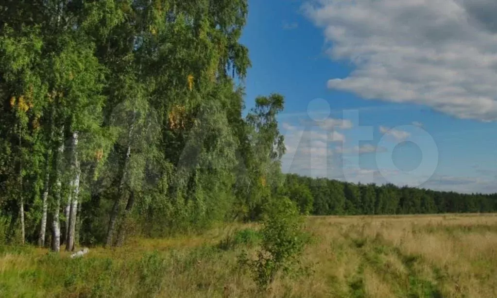 Участок 27 га (СНТ, ДНП) - Фото 0