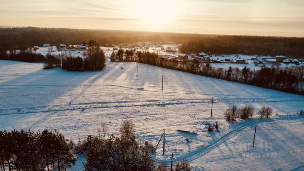 Участок в Ленинградская область, Приозерский район, Красноозерное ... - Фото 2