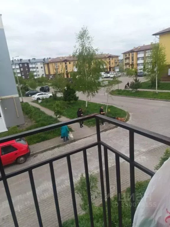 Студия Калининградская область, Гурьевский муниципальный округ, пос. ... - Фото 2