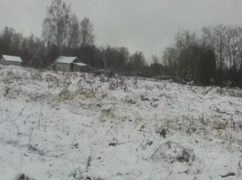 Участок в Московская область, Дмитровский муниципальный округ, пос. ... - Фото 1