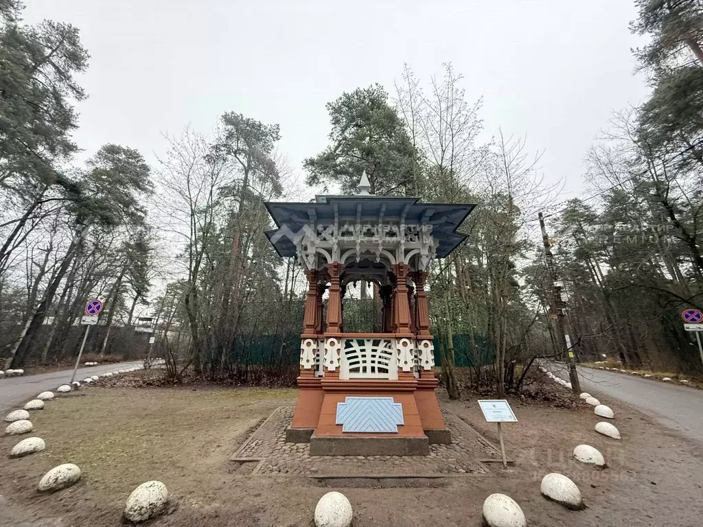 Участок в Санкт-Петербург, Санкт-Петербург, Сестрорецк Купальный пер. ... - Фото 2