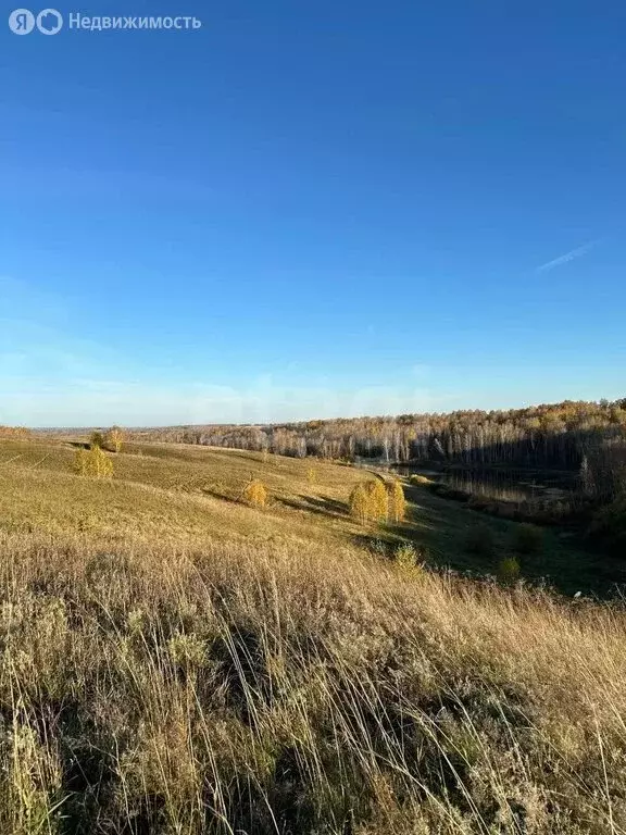 Участок в Искитимский район, Совхозный сельсовет, село Лебедёвка ... - Фото 1