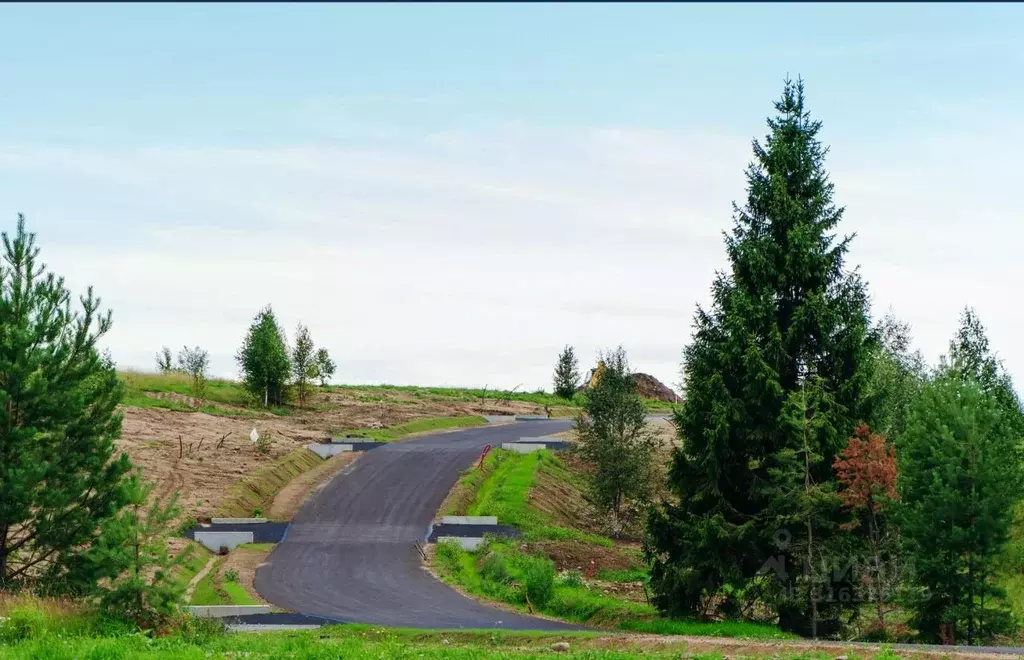 Участок в Ленинградская область, Выборгский район, Первомайское с/пос, ... - Фото 2