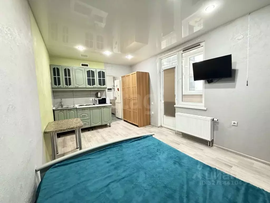 Студия Краснодарский край, Анапа Владимирская ул., 142 (28.9 м) - Фото 2