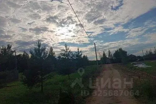 Участок в Новгородская область, Новгородский район, Ракомское с/пос, ... - Фото 1