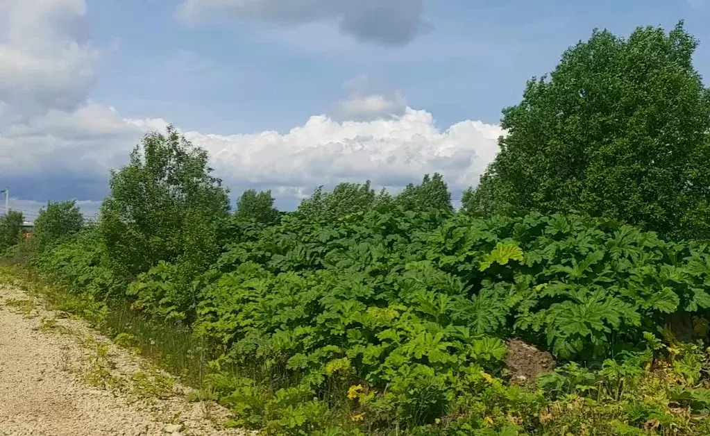 Участок в Ленинградская область, Тосненский район, Федоровское ... - Фото 0