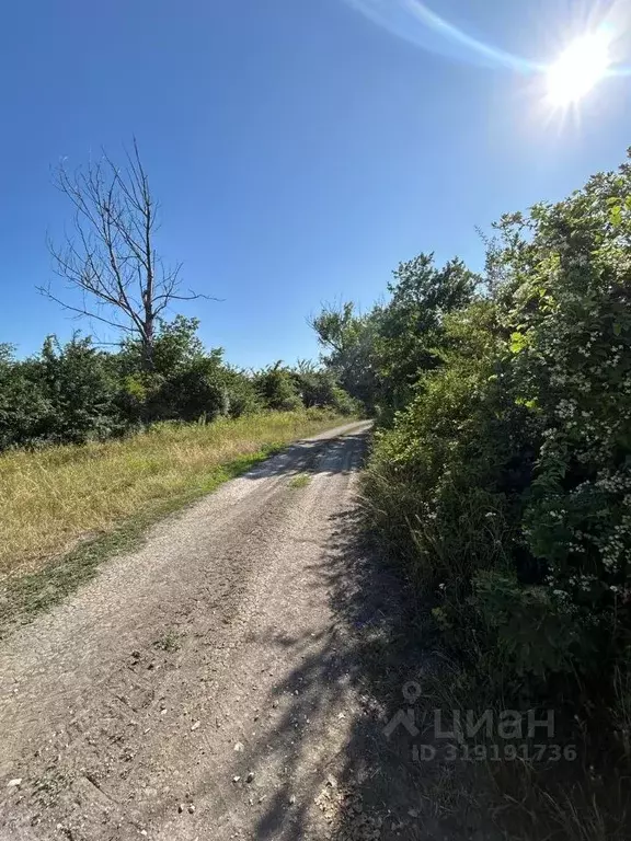 Участок в Краснодарский край, Анапа муниципальный округ, Гостагаевская ... - Фото 1